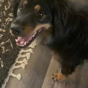 Meet your Posher, Nadja